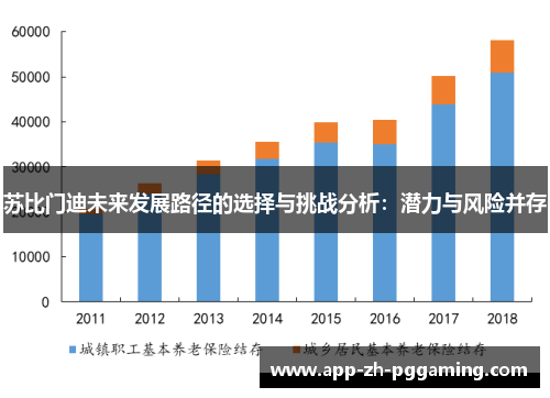 苏比门迪未来发展路径的选择与挑战分析：潜力与风险并存