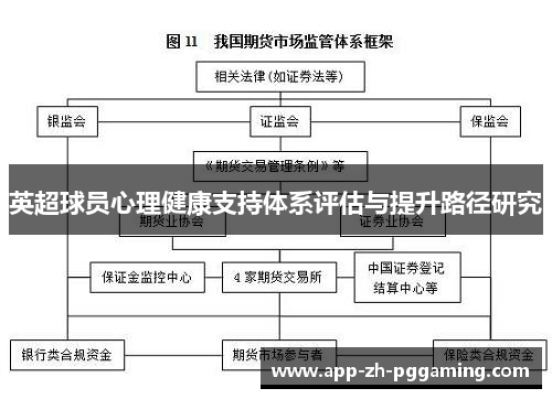 英超球员心理健康支持体系评估与提升路径研究