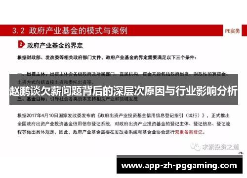 赵鹏谈欠薪问题背后的深层次原因与行业影响分析 赵鹏谈欠薪问题背后的深层次原因与行业影响分析