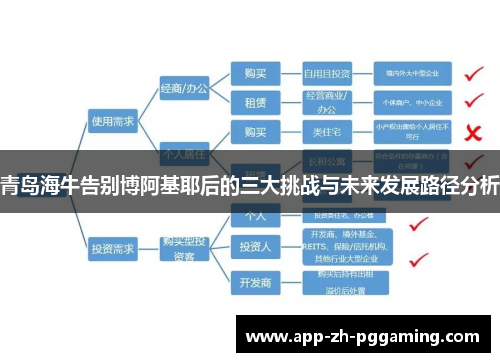 青岛海牛告别博阿基耶后的三大挑战与未来发展路径分析