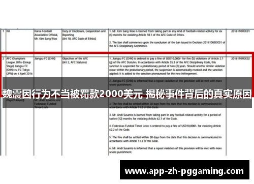 魏震因行为不当被罚款2000美元 揭秘事件背后的真实原因