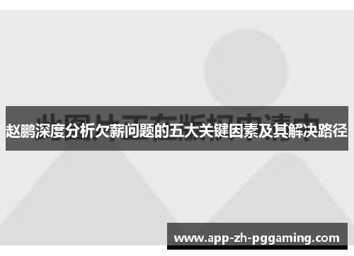 赵鹏深度分析欠薪问题的五大关键因素及其解决路径 赵鹏深度分析欠薪问题的五大关键因素及其解决路径