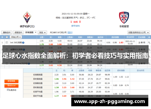 足球心水指数全面解析:初学者必看技巧与实用指南 足球心水指数全面解析:初学者必看技巧与实用指南