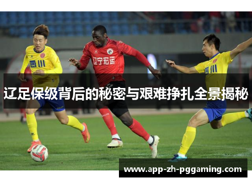 辽足保级背后的秘密与艰难挣扎全景揭秘