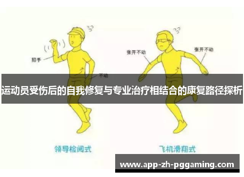 运动员受伤后的自我修复与专业治疗相结合的康复路径探析
