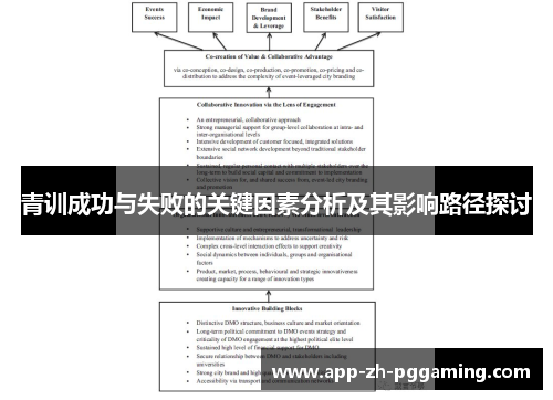 青训成功与失败的关键因素分析及其影响路径探讨