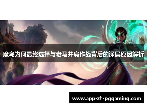 魔鸟为何最终选择与老马并肩作战背后的深层原因解析