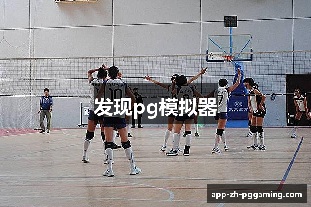 发现pg模拟器